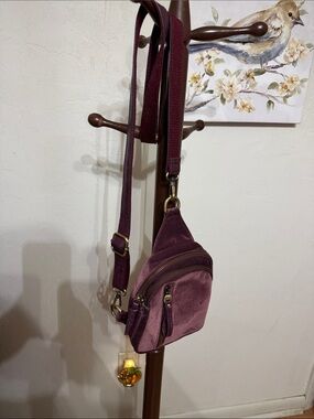 JOY Plush Velvet Crossbody Sling Bag in Plum -